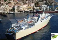 Nave Ro-Ro in vendita