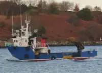 Imbarcazioni da lavoro in vendita