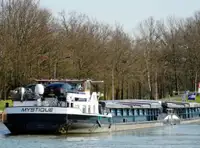 Trasportatore di merci sfuse in vendita
