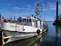 Rimorchiatore in vendita