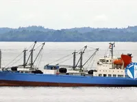 Nave refrigerata in vendita