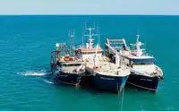 Nave di supporto in vendita