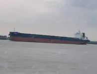 Portarinfuse in vendita