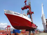 Portacontainer in vendita