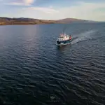 Nave da rilevamento in vendita