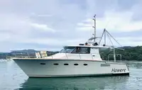 nave di ricerca in vendita