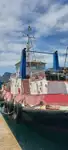 Rimorchiatore in vendita