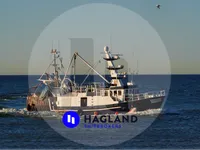 Trasportatore di pesce vivo in vendita