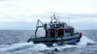 Portacontainer in vendita