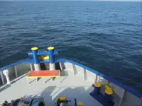 Nave refrigerata in vendita
