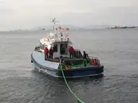 Rimorchiatore in vendita