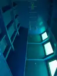 Nave da crociera in vendita