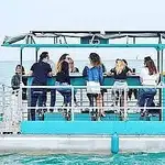 Portacontainer in vendita