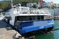 Catamarano in vendita