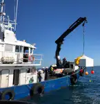 Imbarcazioni da lavoro in vendita