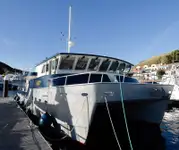 Rimorchiatore in vendita