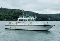 Pattugliatore in vendita