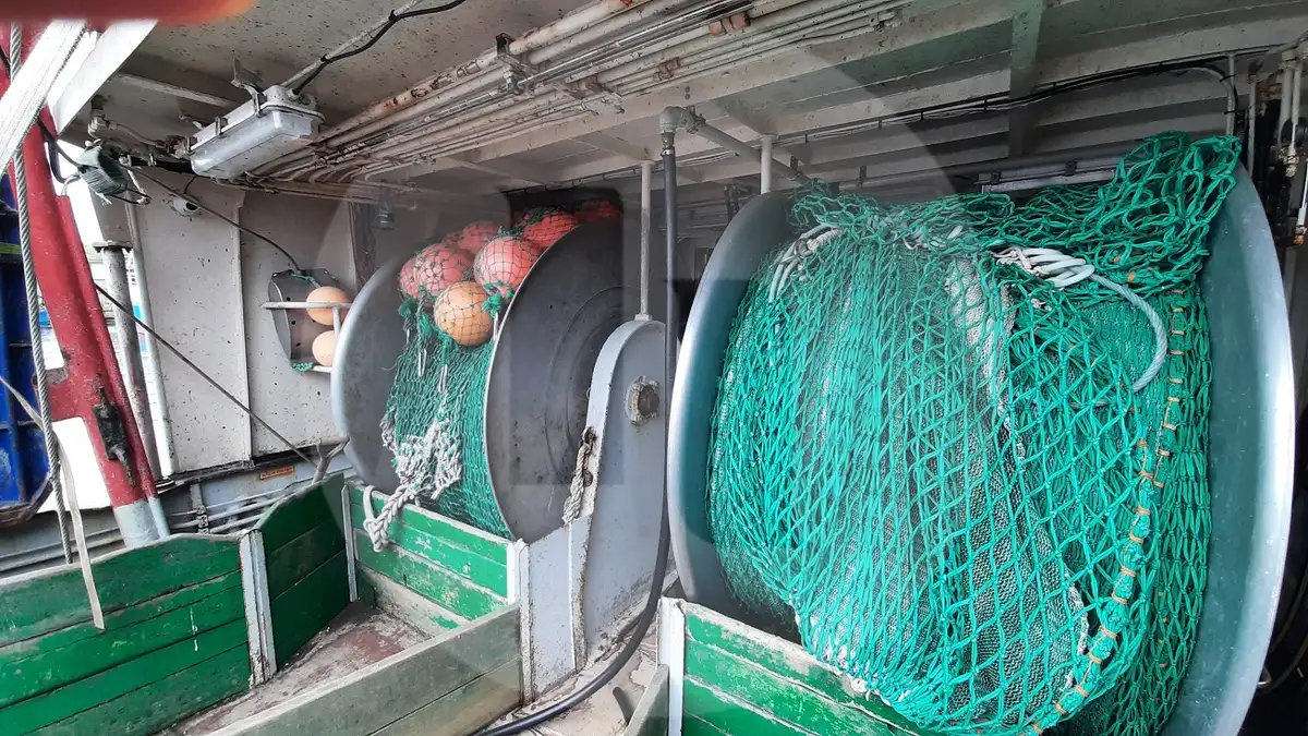 Trasportatore di pesce vivo in vendita