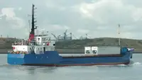 Trasportatore di merci sfuse in vendita