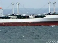 Nave refrigerata in vendita