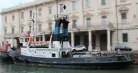 Rimorchiatore in vendita