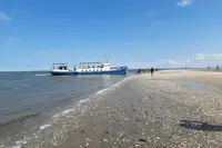 Chiatta in vendita