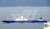Trasportatore di merci sfuse in vendita