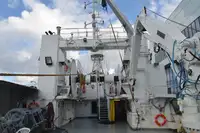 Portacontainer in vendita