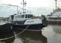 Barche da lavoro in vendita