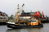 Trawler in vendita
