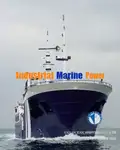 Nave Ro-Ro in vendita