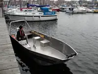 Chiatta in vendita