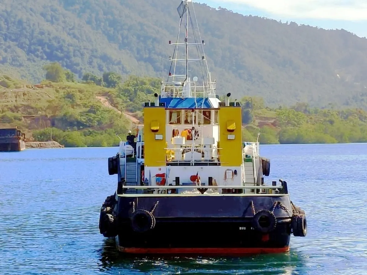 Rimorchiatore in vendita