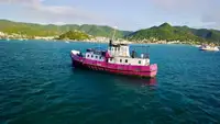 General Cargo/Multi-purpose in vendita