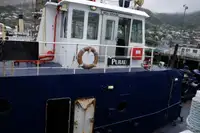 Rimorchiatore in vendita