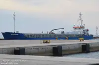 Trasportatore di merci sfuse in vendita