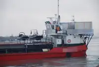 Chiatta in vendita