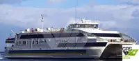Nave Ro-Ro in vendita