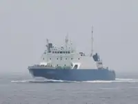 Trasportatore di merci sfuse in vendita