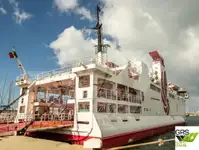 Nave Ro-Ro in vendita