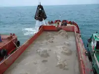 Chiatta in vendita