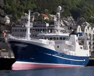 Purse seiner in vendita