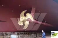 Nave da crociera in vendita