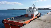 Barche da lavoro in vendita