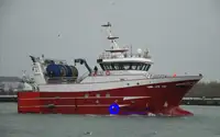 Nave da pesca a circuizione in vendita