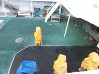 Peschereccio a strascico in vendita