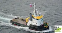 Barche da lavoro in vendita