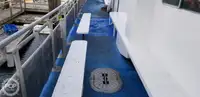 Catamarano in vendita