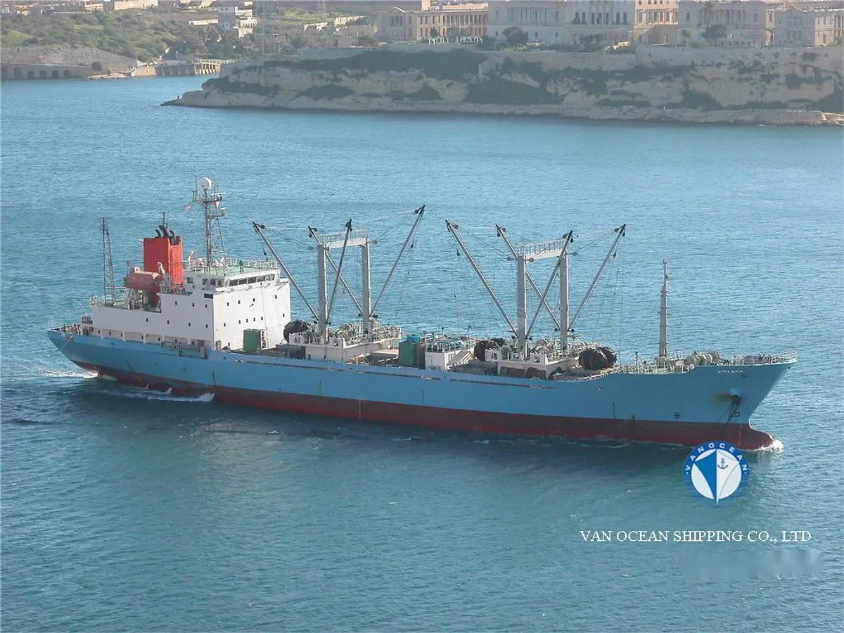 Nave refrigerata in vendita