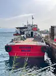 Portacontainer in vendita